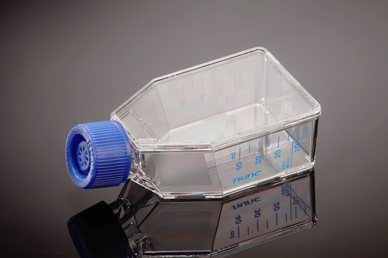 Miejsce na zaawansowane zdjęcie produktowe 2